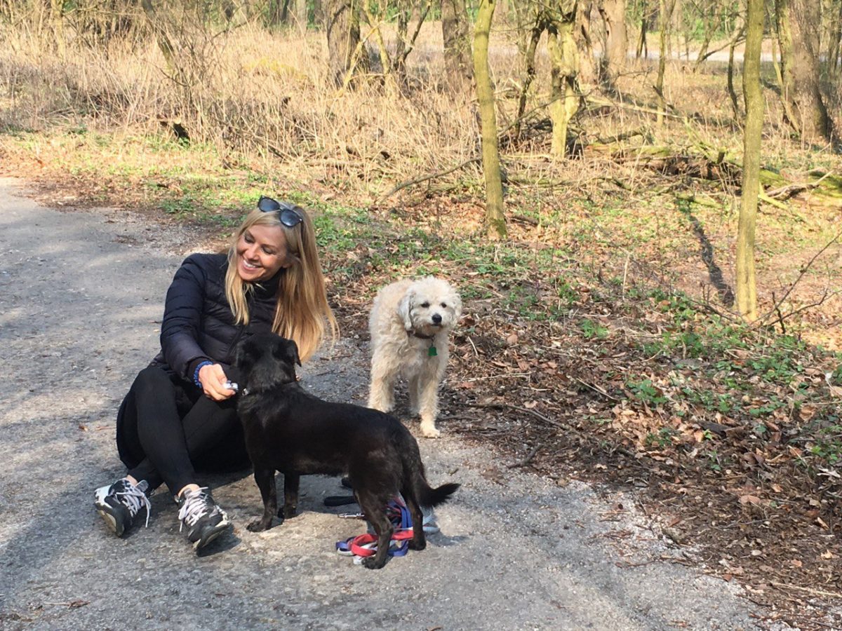 About Bibi's Pet BnB