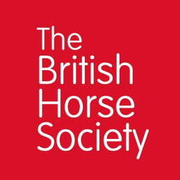 the British horse Society 259